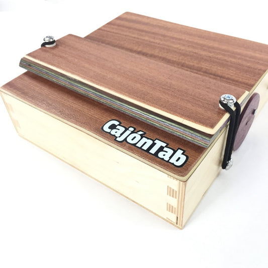 CajonTab with Snare: Introducing an external floating snare mechanism for cajon.